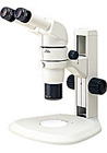 stereomicroscope photo